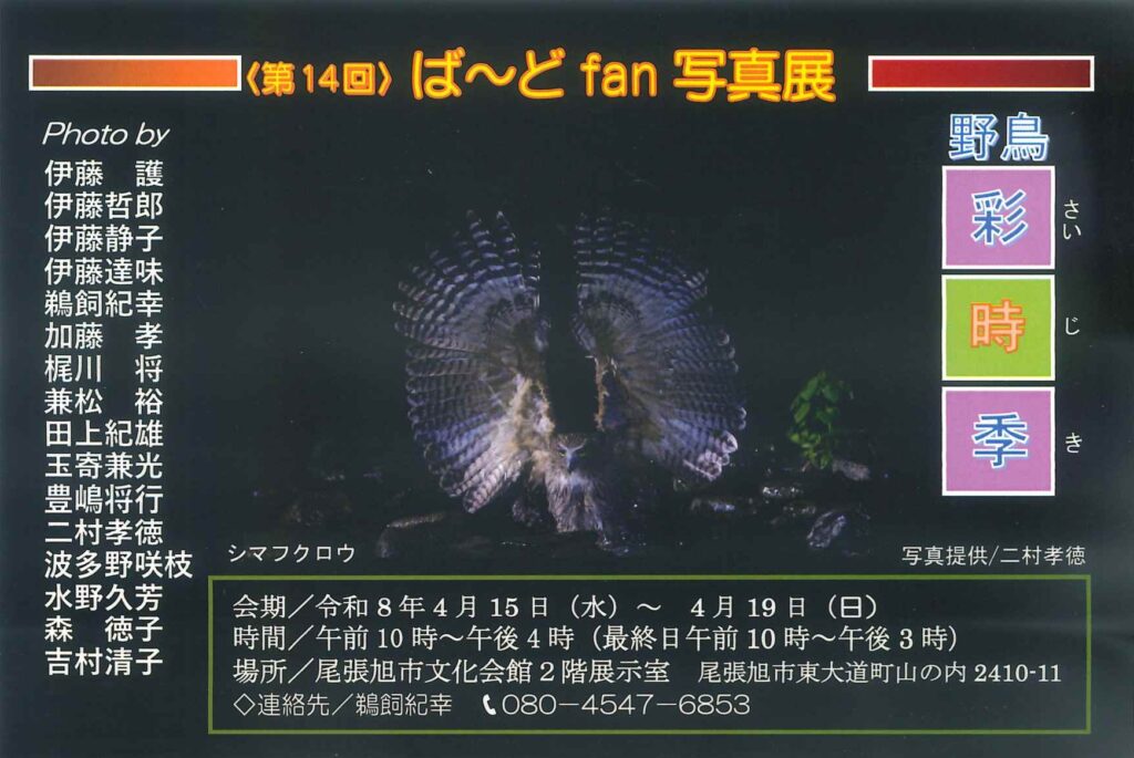 ばーどfan写真展